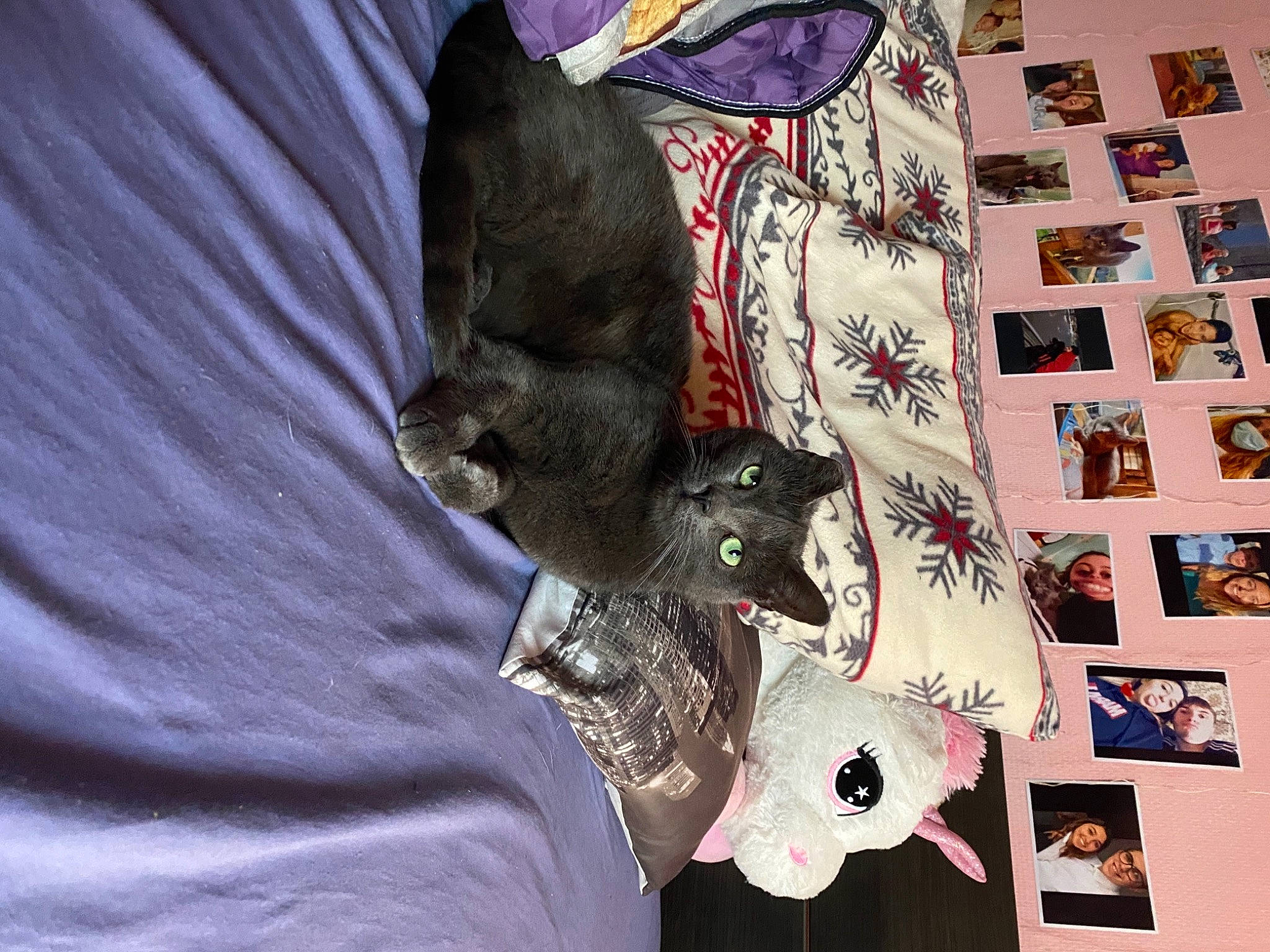 Calypso participe au concours pour gagner de l'argent avec cette photo : art, canidae, carmine, comfort, companion_dog, creative_arts, dog_breed, fashion_accessory, felidae, font, fur, linens, pattern, room, sleeve, small_to_medium_sized_cats, t_shirt, textile, visual_arts, whiskers