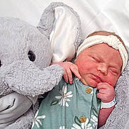 Sawyer joined the competition — help win amazing prizes! newborn, baby, sleeping, headband, plush_elephant, stuffed_animal, soft_toy, cuddly, infant, cute, peaceful, sleep, child, human, portrait, fabric, button, hand, face, bed