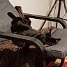 armchair, black_cat, blanket, cat, chair, cozy, cushion, funny_pose, furniture, home, indoor, living_room, lying_down, pet, red_rug, relaxed, resting, sleeping, tripod, upside_down