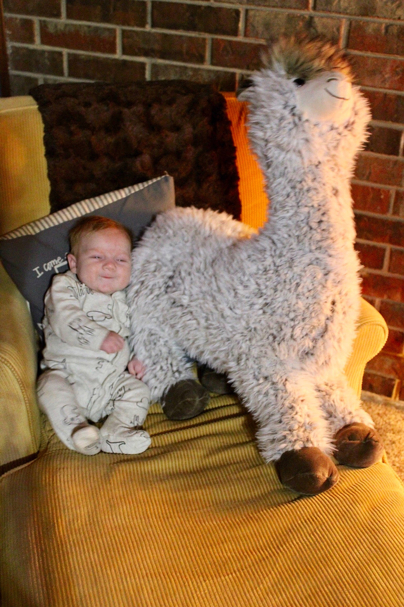 Langston is registered to the contest to win money with this photo: person