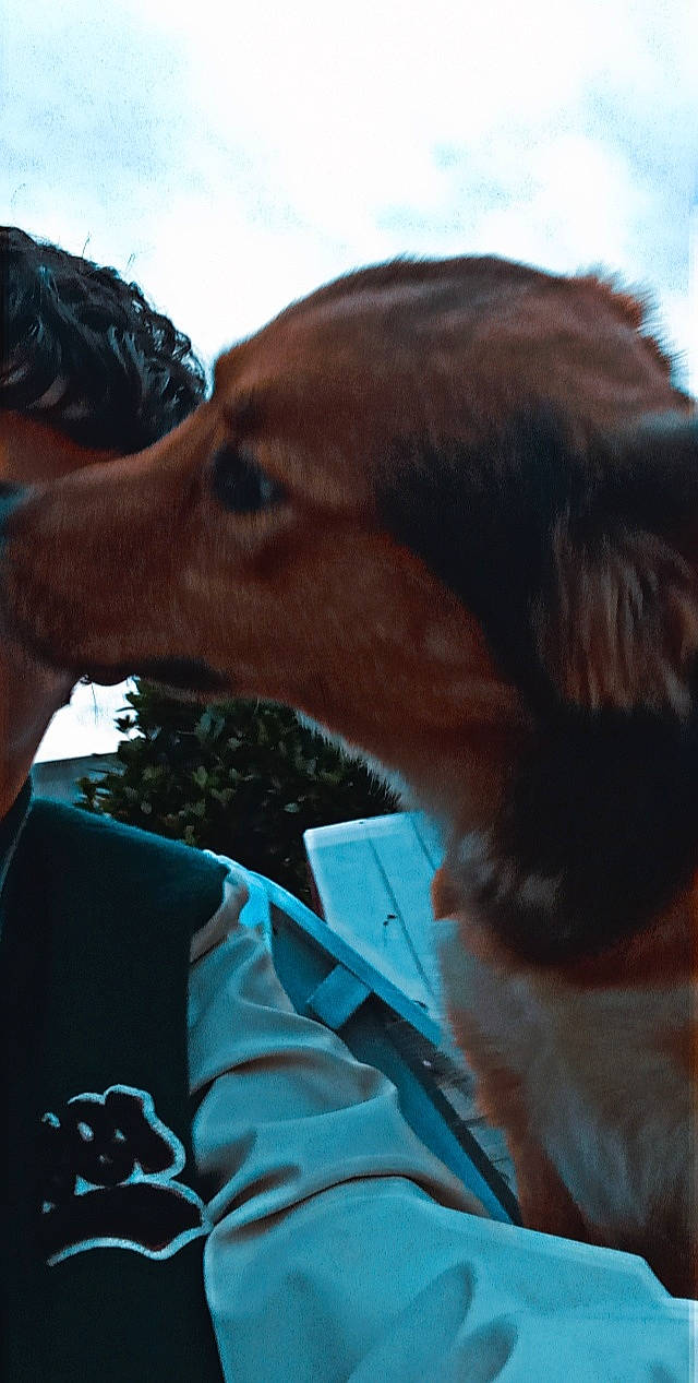 Plouf a rejoint le concours — aidez-le/la à gagner de superbes lots ! bridle, cloud, electric_blue, eyelash, fawn, gesture, grass, happy, horse, horse_supplies, horse_tack, jaw, landscape, liver, livestock, mare, pack_animal, sky, snout, working_animal