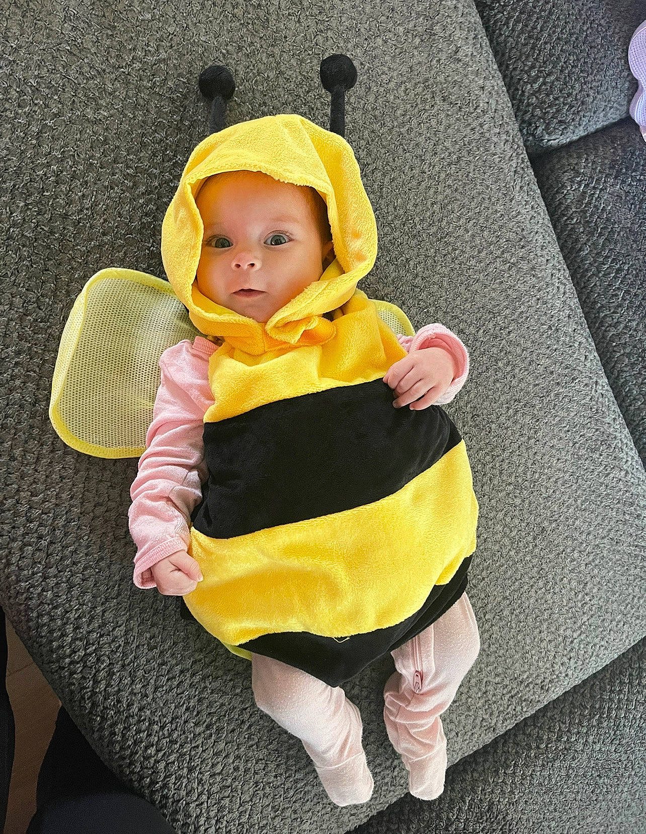 Lainey is registered to the contest to win money with this photo: baby, baby_carriage, baby_products, baby_safety, baby_toddler_clothing, chair, child, comfort, costume, costume_hat, eye, fashion_accessory, hat, headgear, human_body, human_leg, outerwear, person, sitting, sleeve