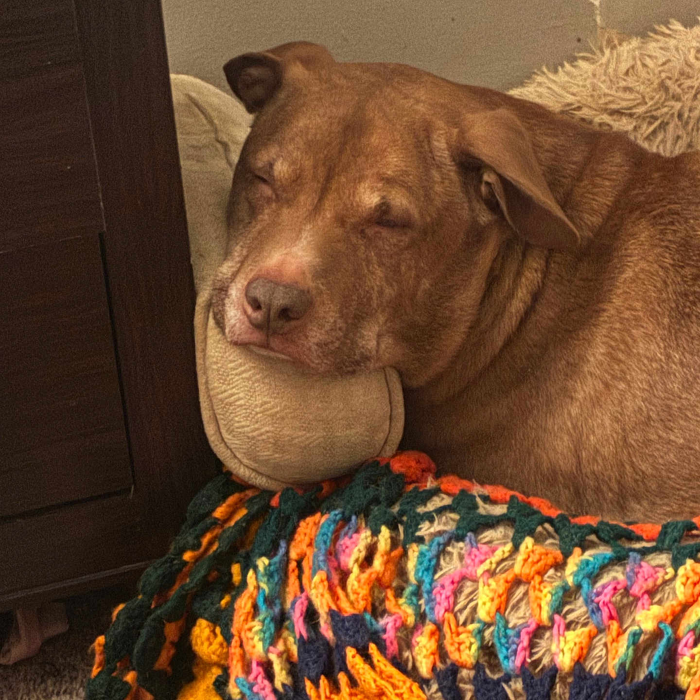 Enzo