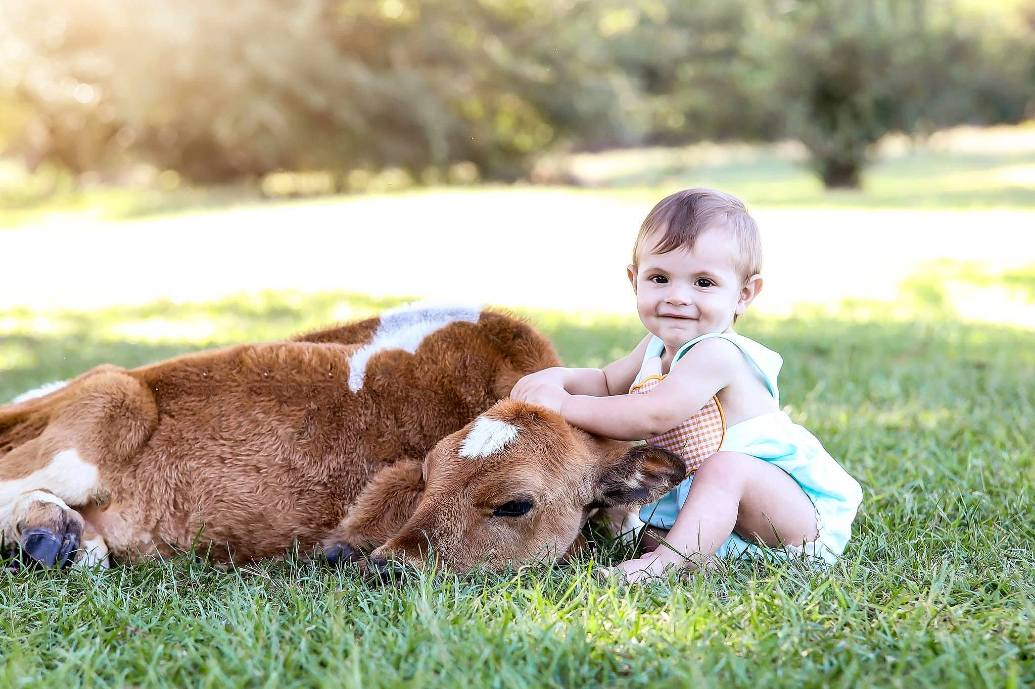 Kaylor joined the competition — help win amazing prizes! baby, baby_toddler_clothing, carnivore, companion_dog, dog, dog_breed, face, fawn, flash_photography, fun, grass, grassland, happy, hat, joy, leisure, people_in_nature, person, plant, sitting