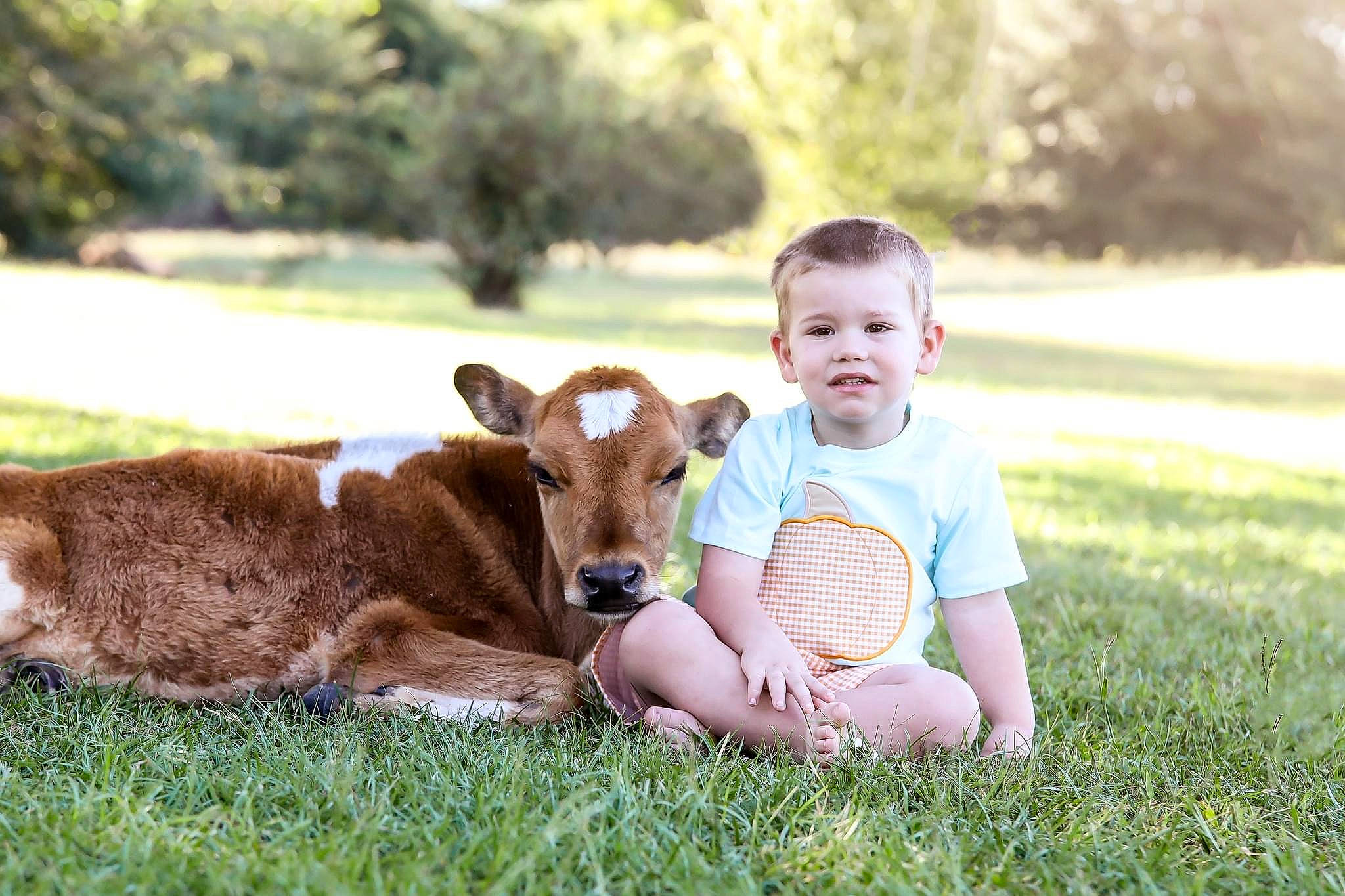 Callen joined the competition — help win amazing prizes! baby, companion_dog, dog_breed, fawn, grass, grassland, happy, hat, joy, lawn, leisure, livestock, meadow, people_in_nature, person, plant, recreation, sheep, terrestrial_animal, toddler