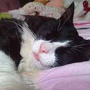 Scoubidou a rejoint le concours — aidez-le/la à gagner de superbes lots !