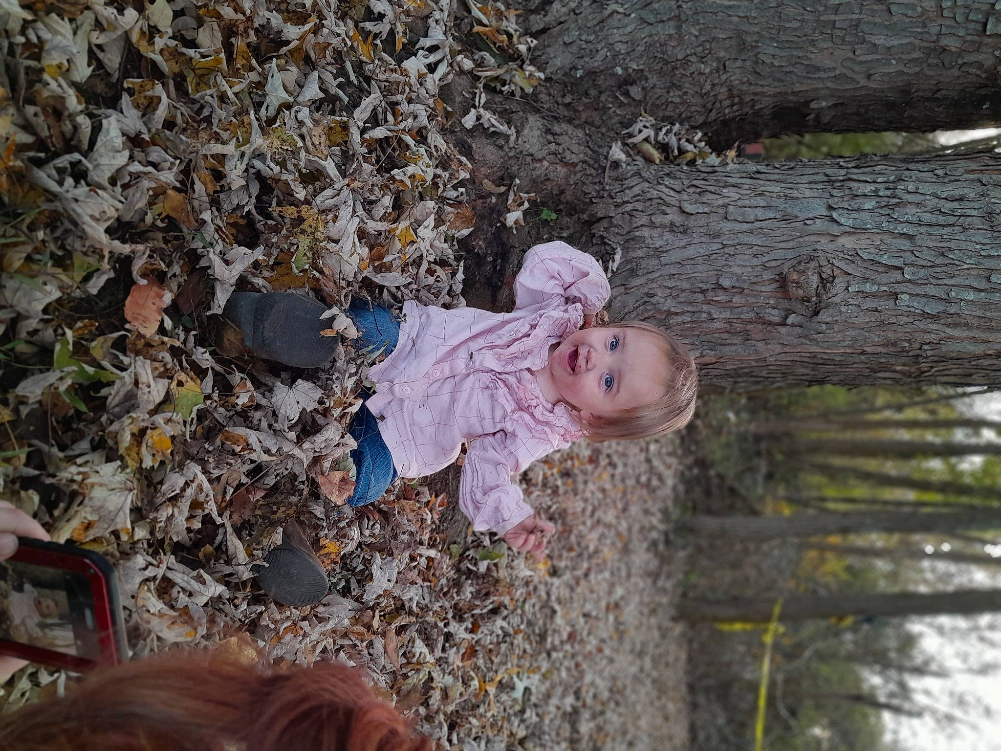 Delilah is registered to the contest to win money with this photo: autumn, baby, baby_toddler_clothing, child, forest, fun, grass, leisure, people_in_nature, person, plant, soil, toddler, tree, trunk, twig, winter, wood, woody_plant