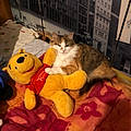 Christopher D.