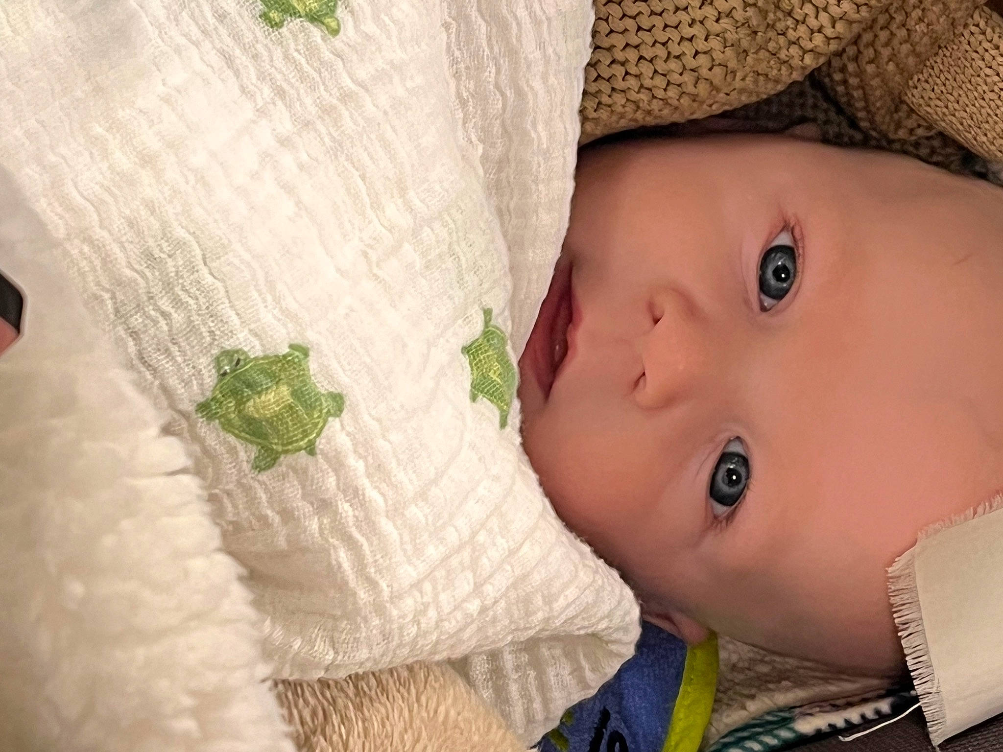 Danny joined the competition — help win amazing prizes! baby, baby_toddler_clothing, cap, dress, eyelash, flash_photography, happy, hat, headgear, iris, leaf, lip, nose, outerwear, person, plant, product, skin, sun_hat, textile