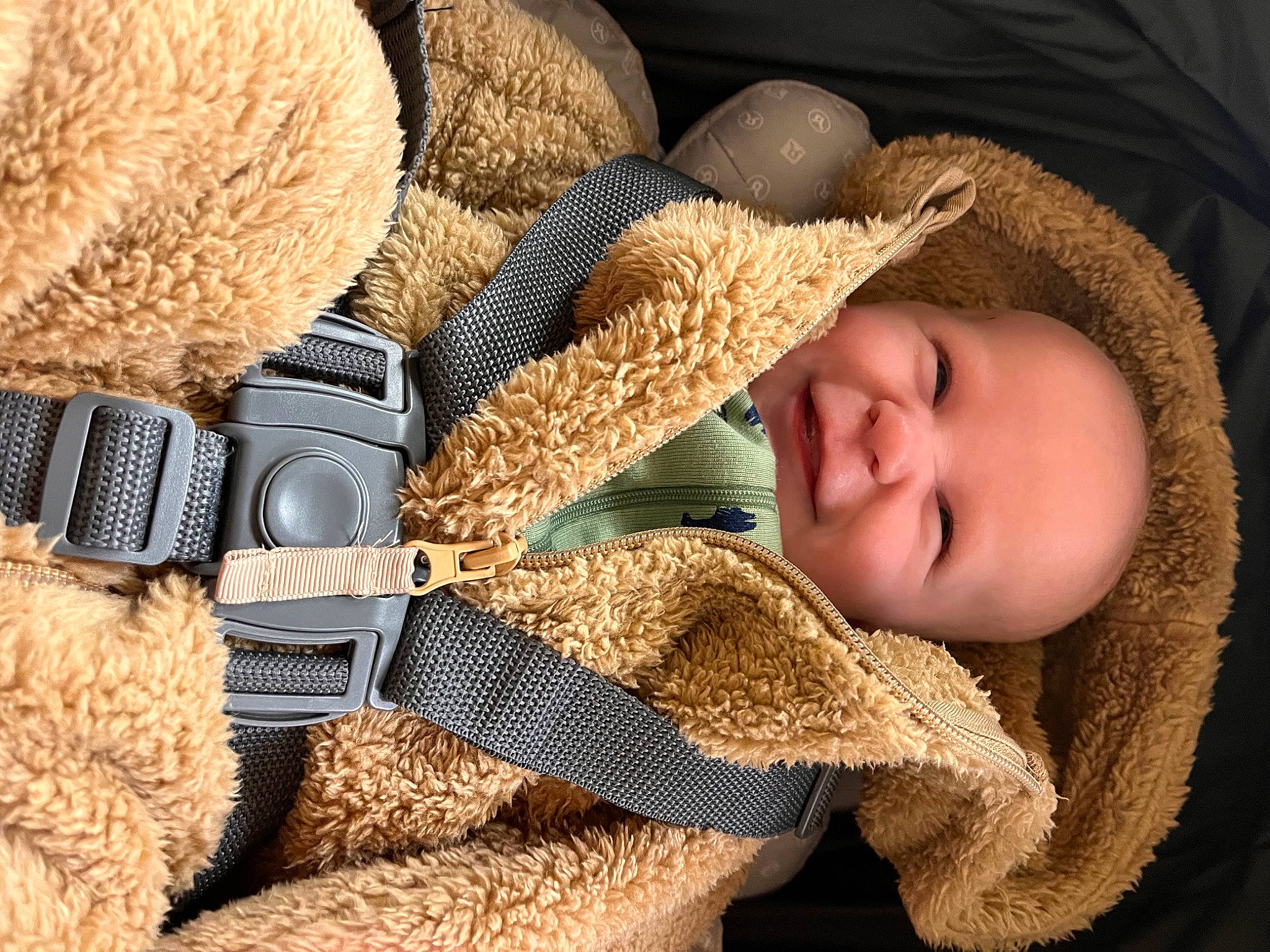Danny is registered to the contest to win money with this photo: baby, cap, child, comfort, fawn, fur, hat, headgear, mammal, outerwear, person, product, stuffed_toy, textile, toddler, toy, tree, vertebrate, wood, wool