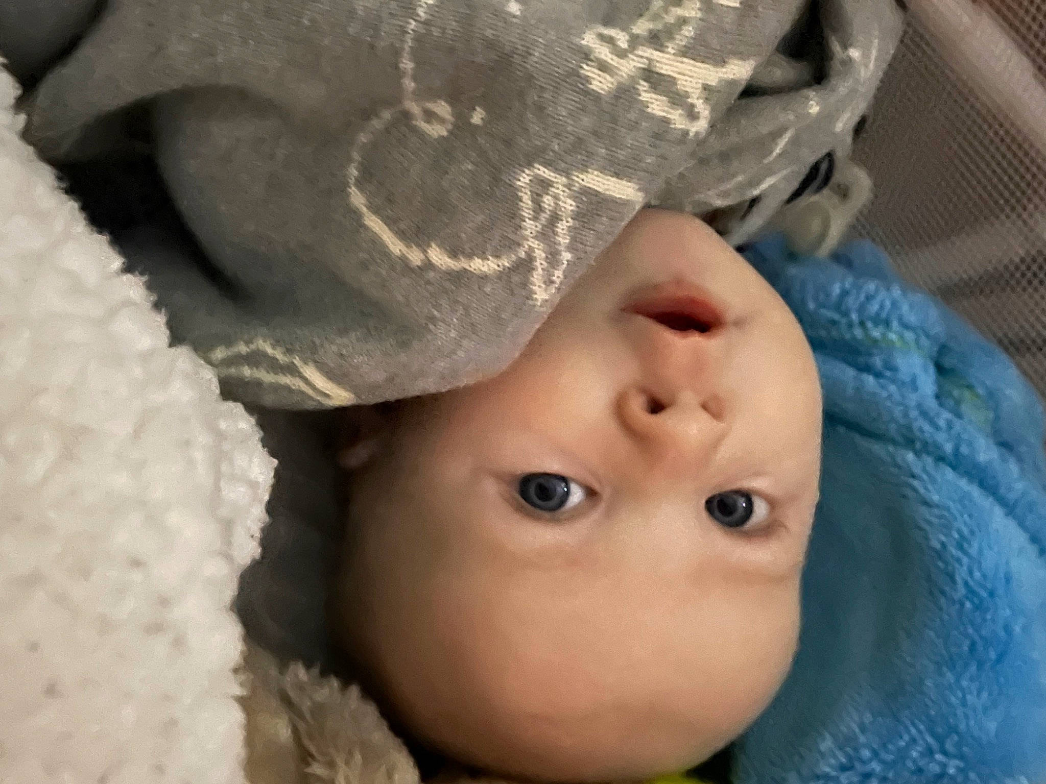 Daniel is registered to the contest to win money with this photo: baby, cap, cheek, child, chin, close_up, eye, eyebrow, eyelash, face, grass, happy, head, headgear, iris, lip, nose, person, skin, toddler