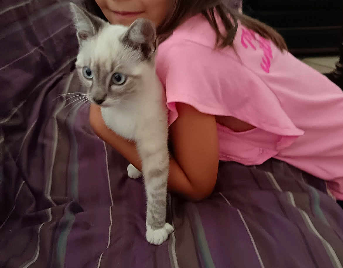Tigrou