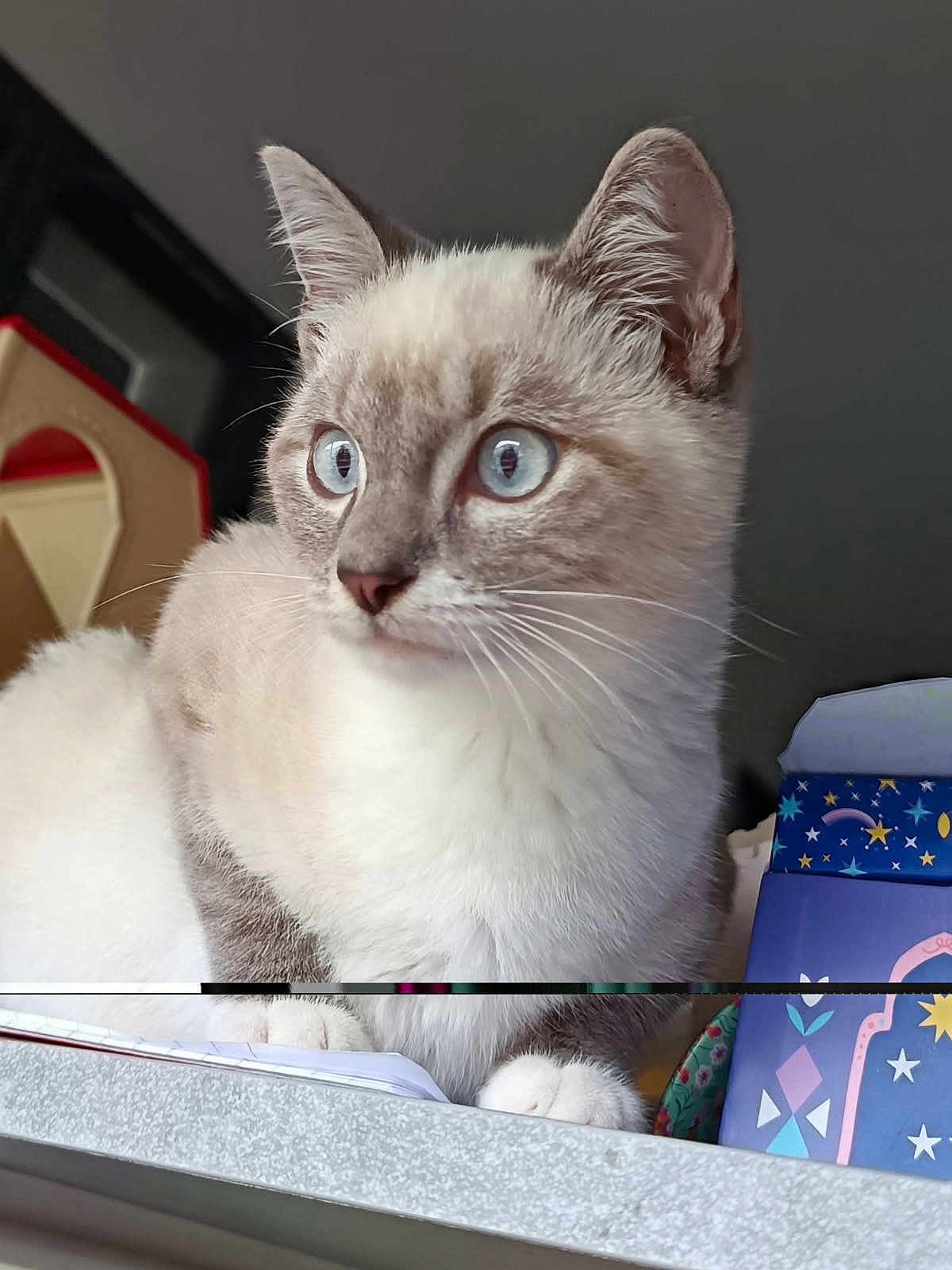 Tigrou