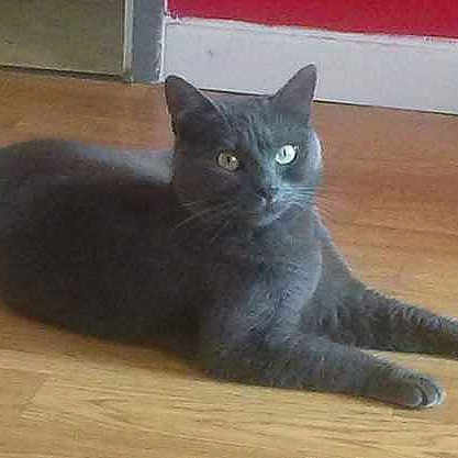 Mimi