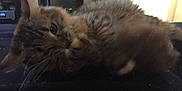 Baby Girl is registered to the contest to win money with this photo: