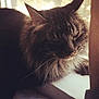 Dubs is registered to the contest to win money with this photo: