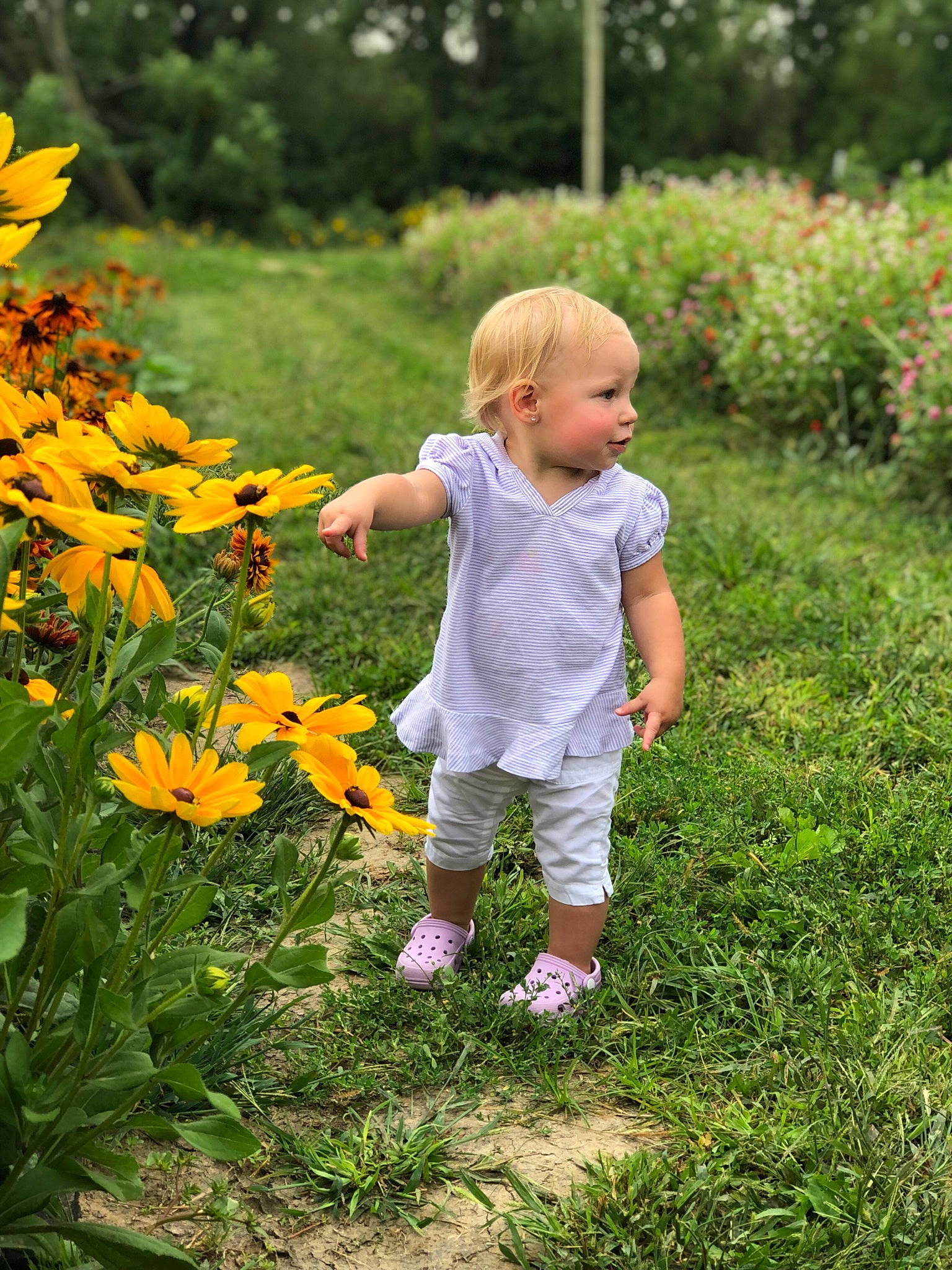 Eleanor is registered to the contest to win money with this photo: annual_plant, baby_toddler_clothing, child, flower, grass, grass_family, groundcover, happy, landscape, lawn, leisure, meadow, natural_landscape, people_in_nature, person, petal, plant, shrub, summer, toddler