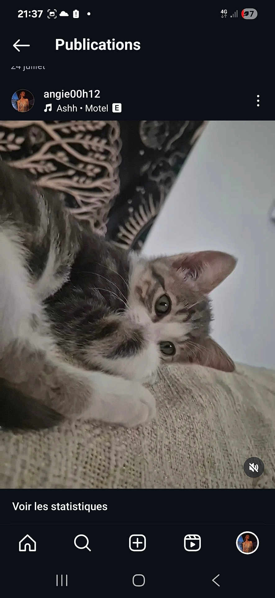 Niokko participe au concours pour gagner de l'argent avec cette photo : kitten, cat, pet, couch, indoor, feline, curious, resting, cozy, closeup, animal, fur, whiskers, ears, eyes, home, texture, pattern, background, relaxed