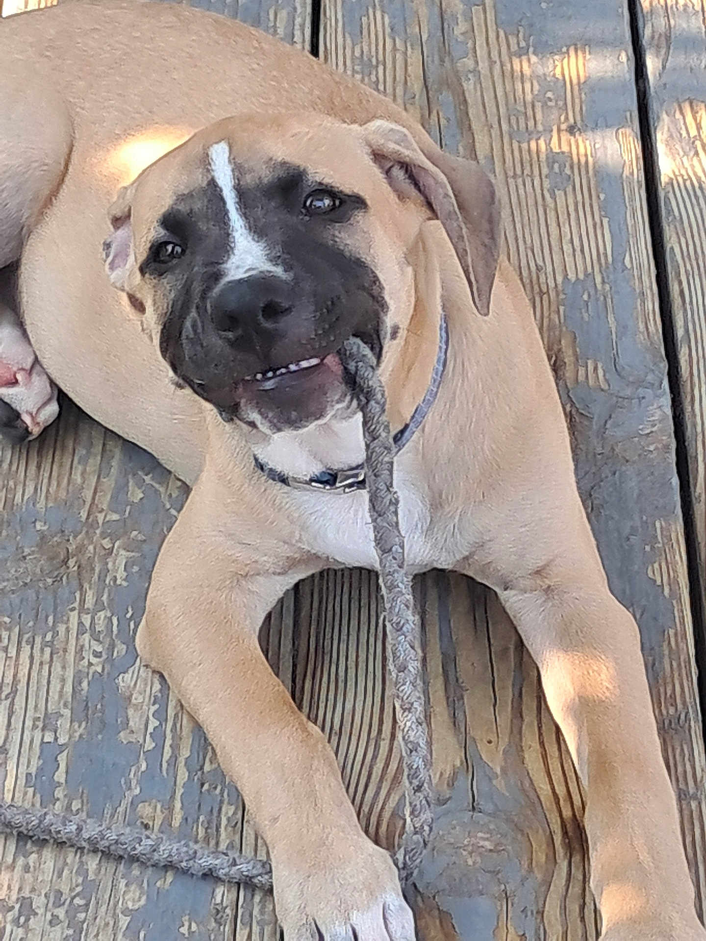 Kilo'