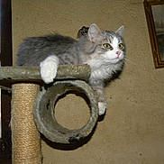 Julliette a rejoint le concours — aidez-le/la à gagner de superbes lots !