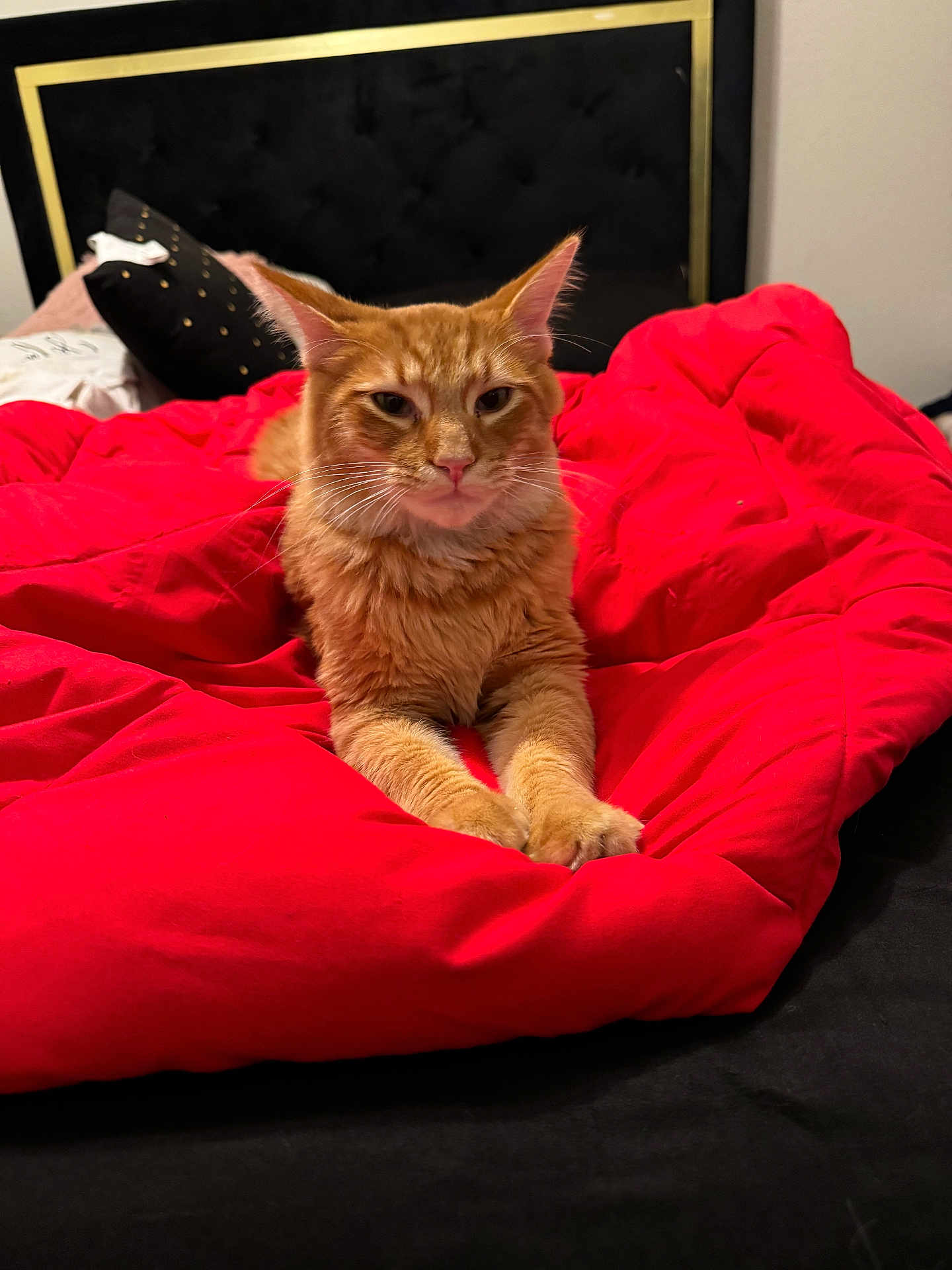 Mufasa