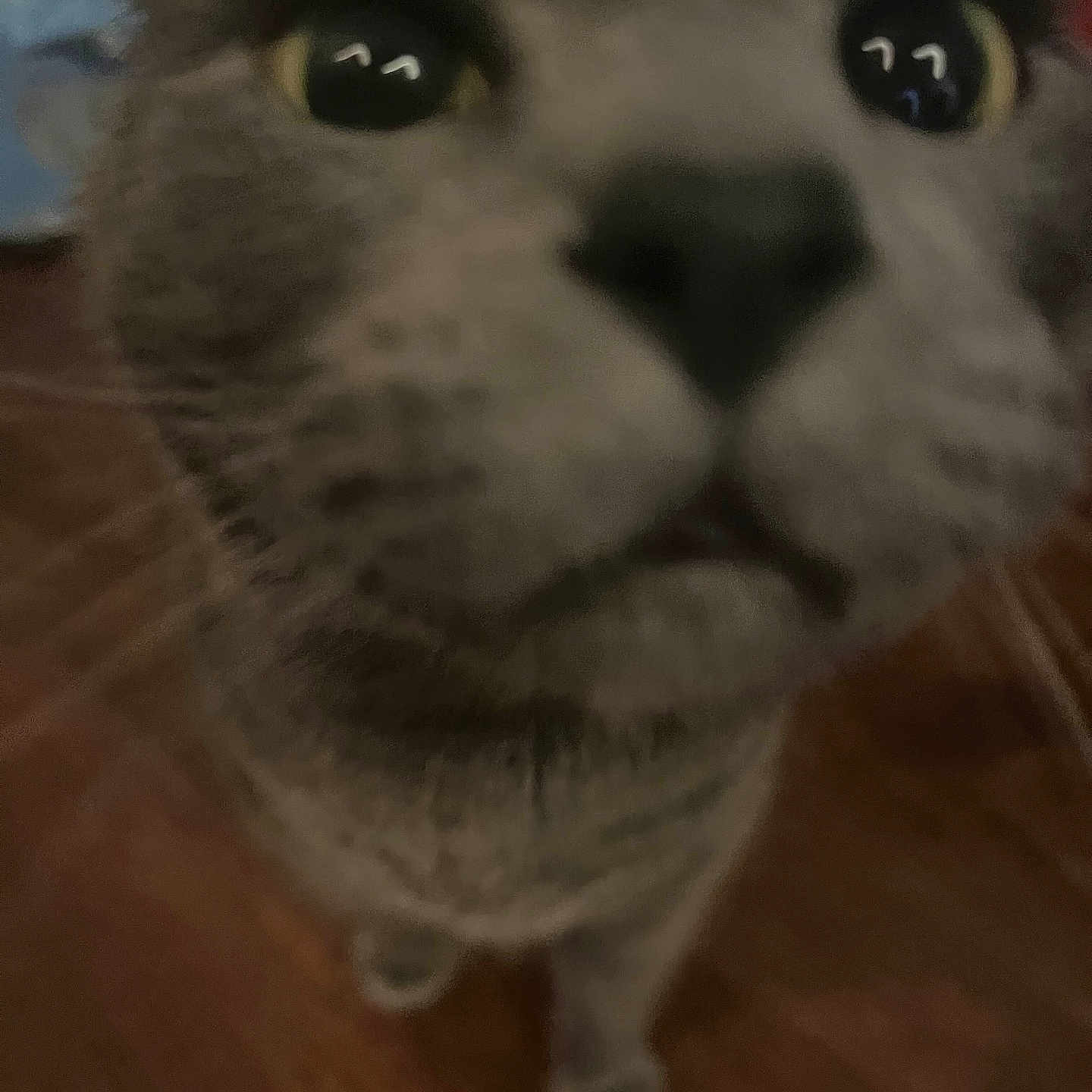 Huckleberry