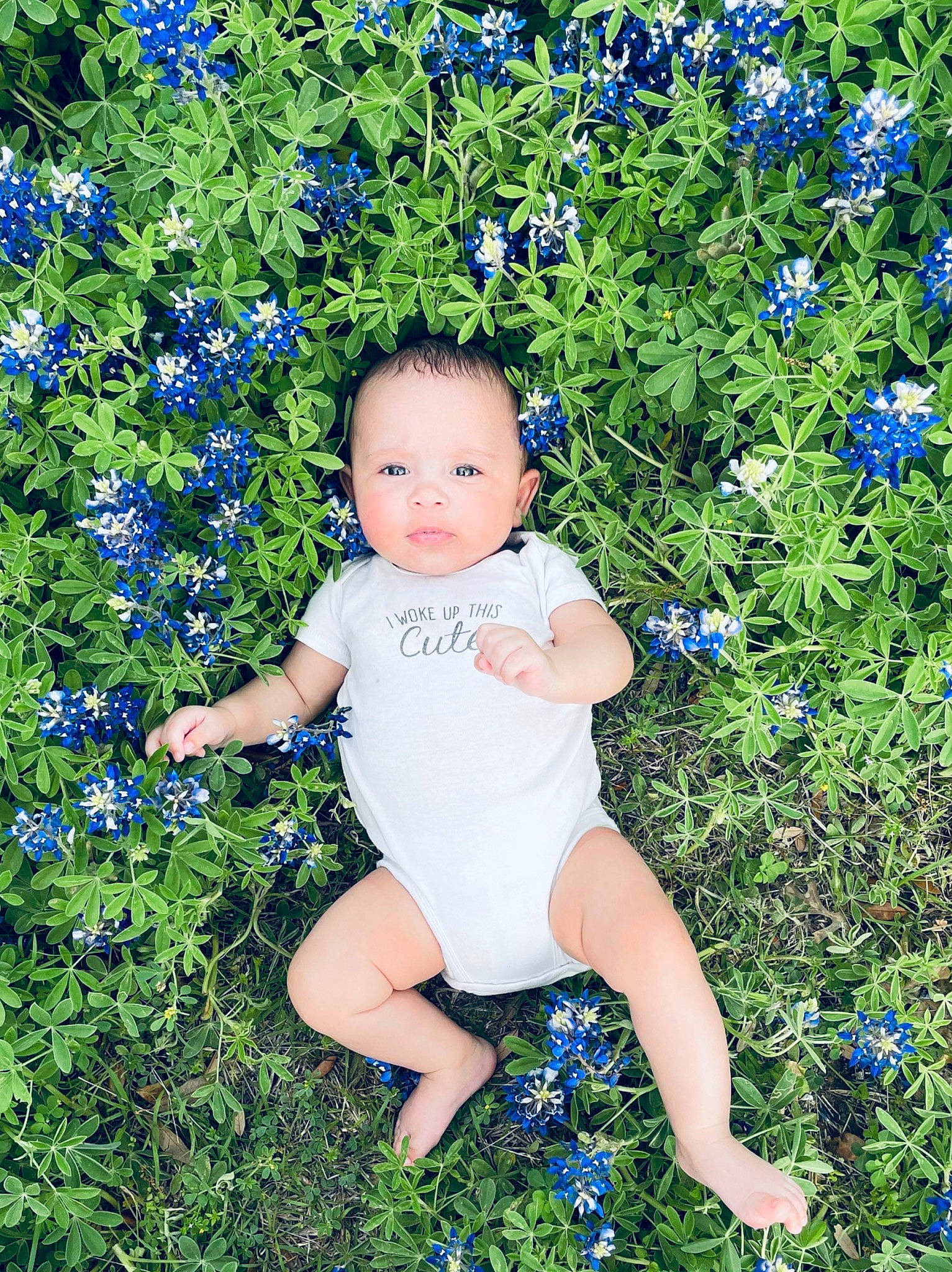 Emma-elizabeth joined the competition — help win amazing prizes! annual_plant, baby, baby_toddler_clothing, blue, child, electric_blue, flower, flowering_plant, grass, green, groundcover, happy, herbaceous_plant, human_leg, meadow, people_in_nature, person, plant, shrub, thigh