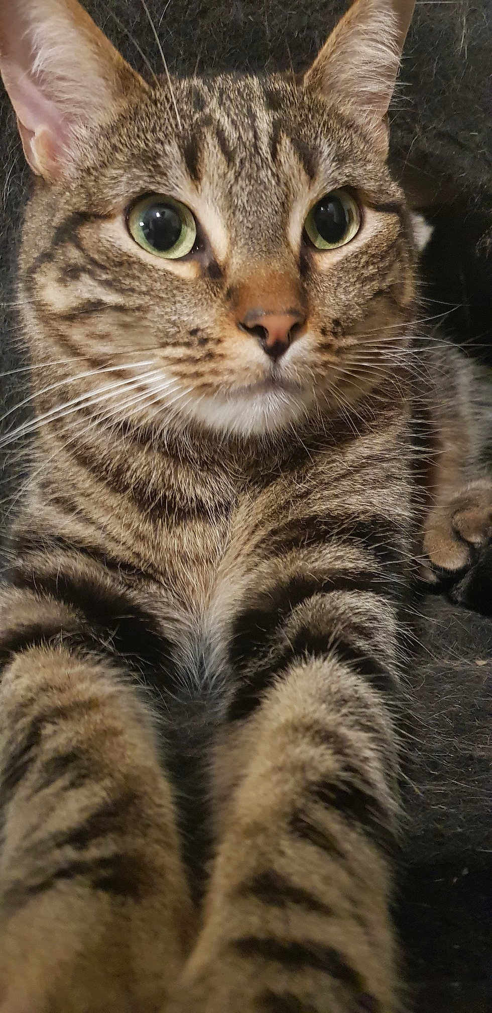 Marty