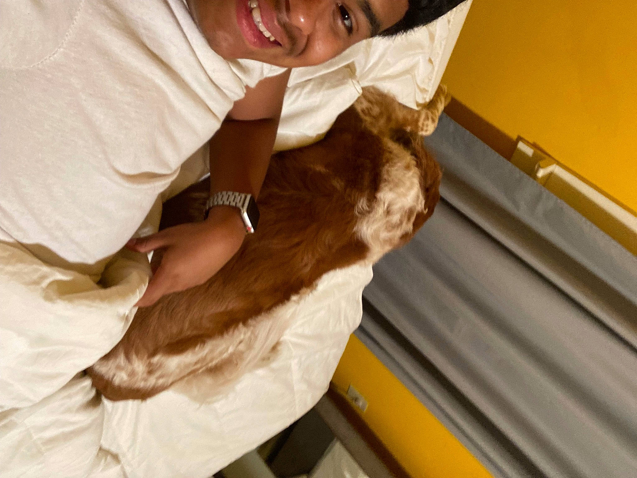 Churro is registered to the contest to win money with this photo: canidae, carnivore, cat, comfort, companion_dog, domestic_short_haired_cat, ear, elbow, felidae, flooring, fur, gesture, happy, human_leg, room, small_to_medium_sized_cats, smile, t_shirt, whiskers, wood