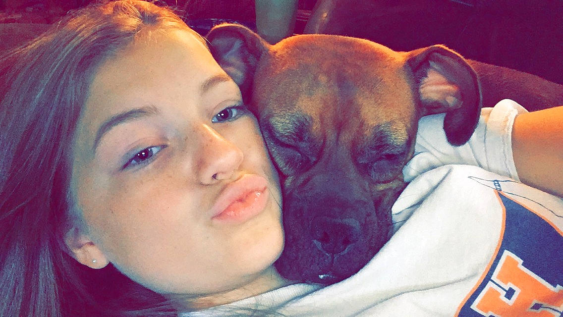 Jazzy joined the competition — help win amazing prizes! american_pit_bull_terrier, canidae, carnivore, cheek, companion_dog, dog, dog_breed, ear, fawn, head, jaw, love, non_sporting_group, nose, pit_bull, puppy_love, selfie, snout