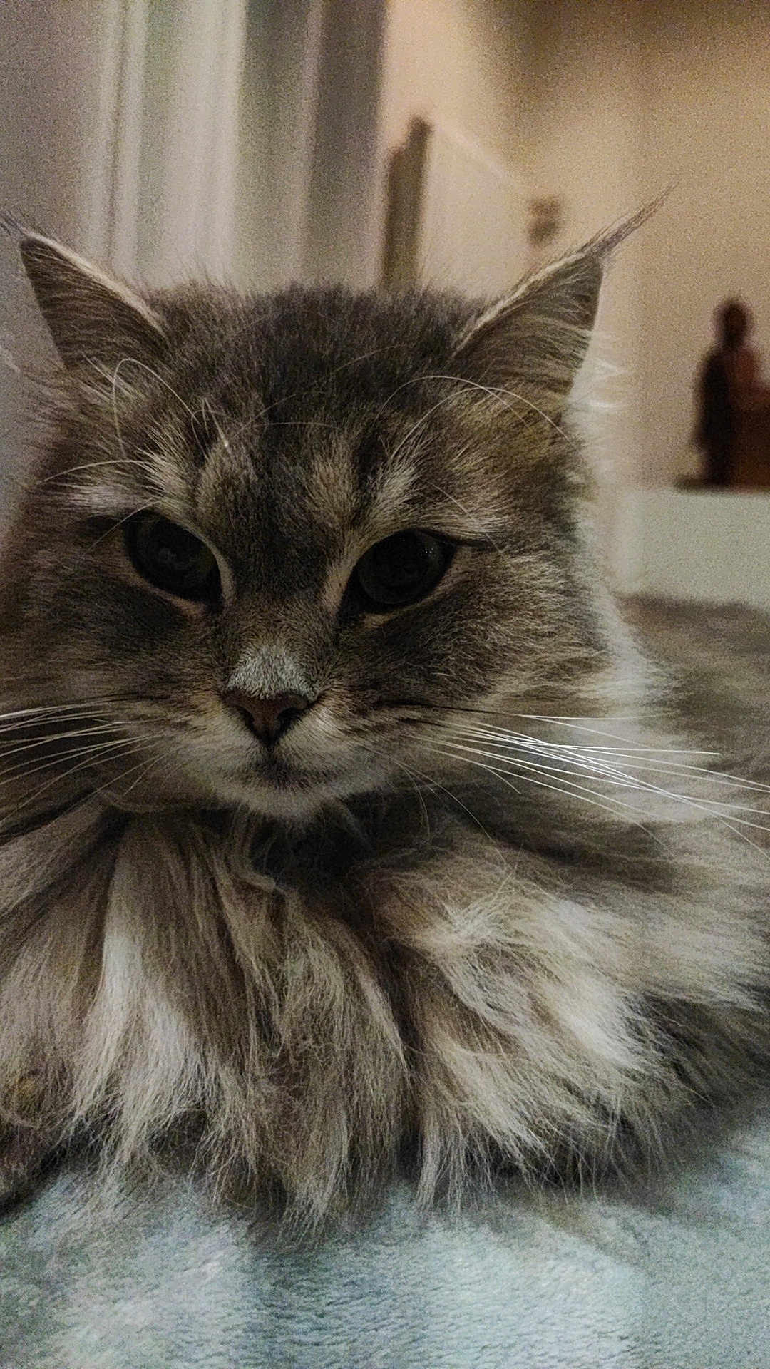 Kiara