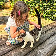 Chablis a rejoint le concours — aidez-le/la à gagner de superbes lots ! child, cat, petting, outdoor, wooden_deck, greenery, sunlight, tabby_cat, girl, summer, nature, cute, animal, young_child, casual_clothing, hair_accessory, barefoot, daytime, playful, affection