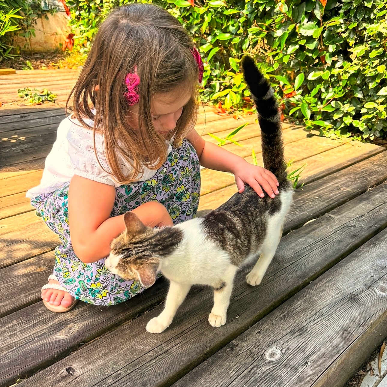 Chablis a rejoint le concours — aidez-le/la à gagner de superbes lots ! affection, animal, barefoot, casual_clothing, cat, child, cute, daytime, girl, greenery, hair_accessory, nature, outdoor, petting, playful, summer, sunlight, tabby_cat, wooden_deck, young_child