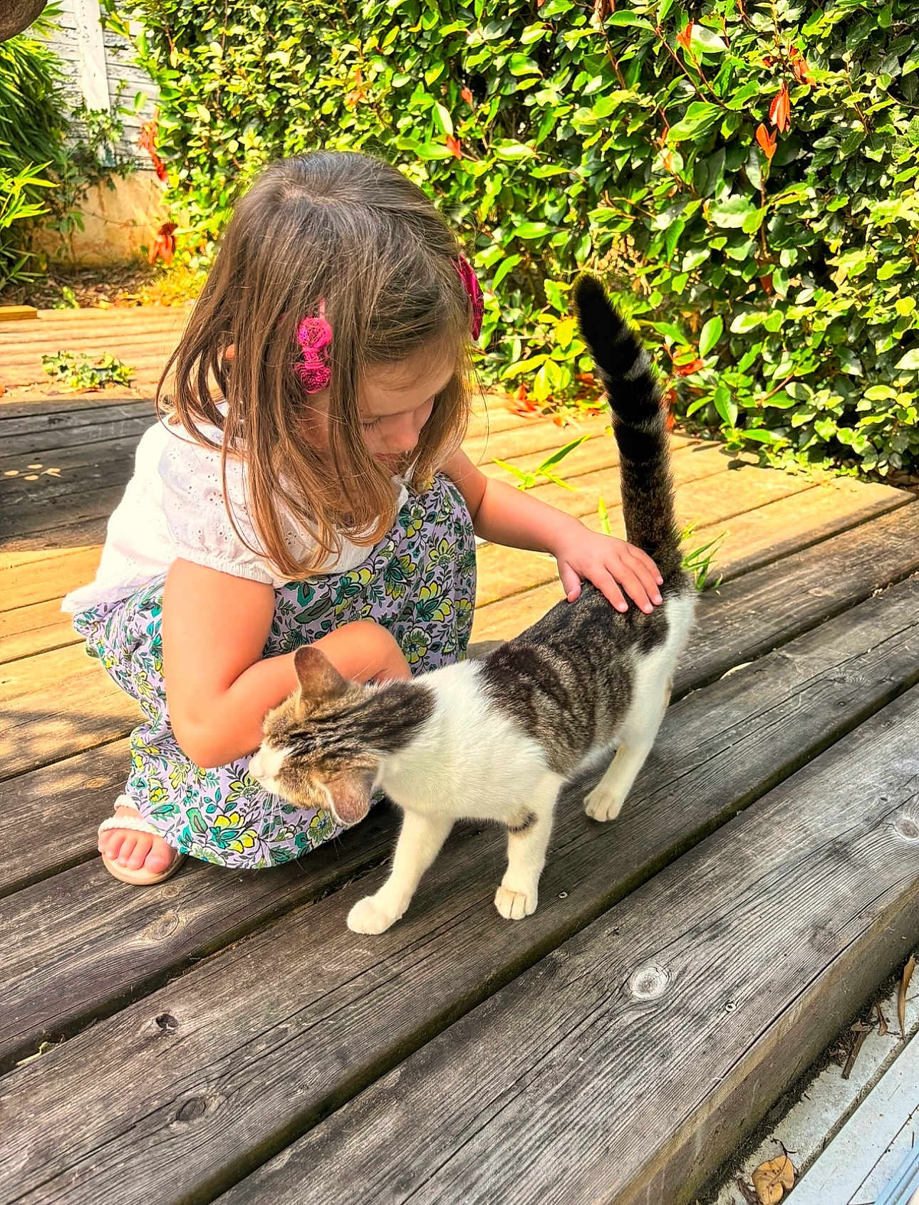 Chablis a rejoint le concours — aidez-le/la à gagner de superbes lots ! child, cat, petting, outdoor, wooden_deck, greenery, sunlight, tabby_cat, girl, summer, nature, cute, animal, young_child, casual_clothing, hair_accessory, barefoot, daytime, playful, affection