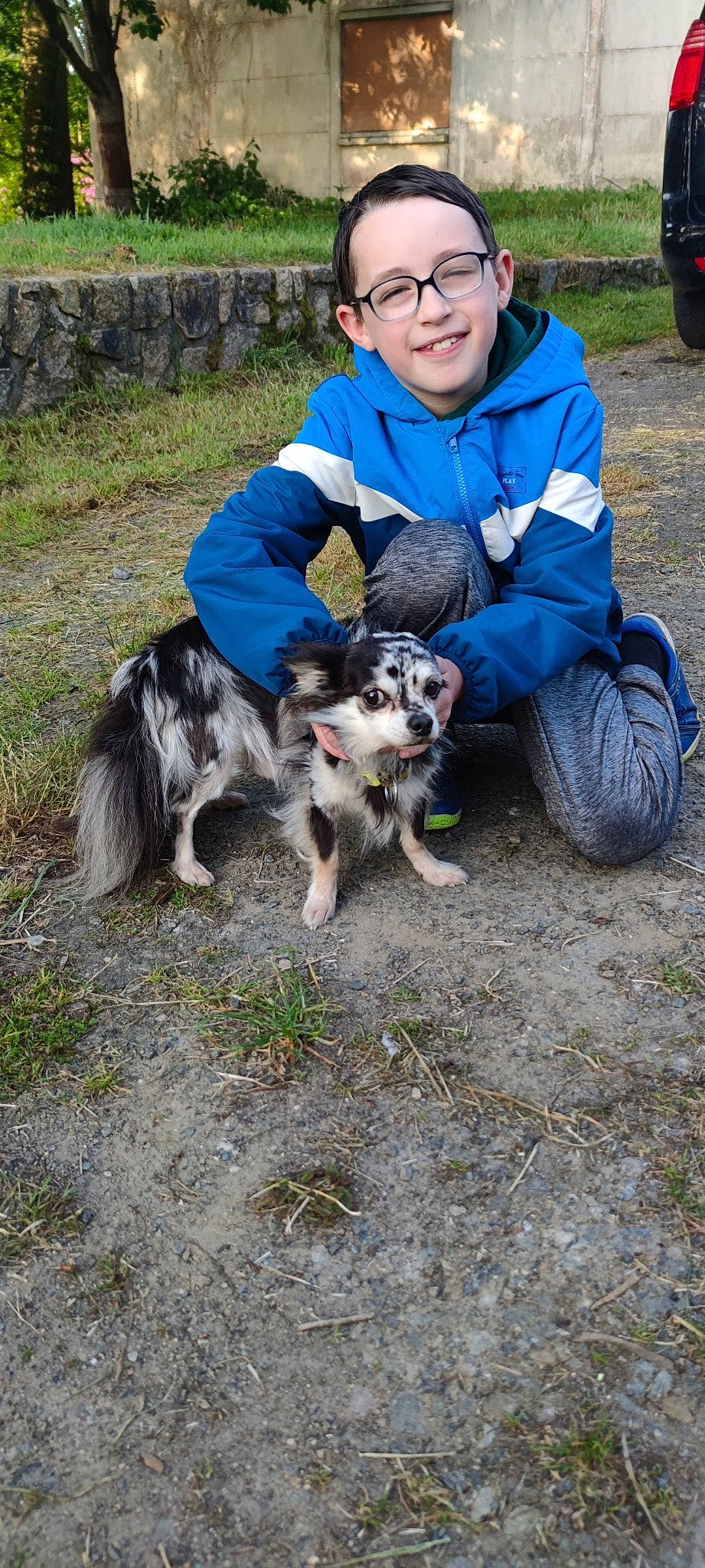 Noah a rejoint le concours — aidez-le/la à gagner de superbes lots ! canidae, carnivore, child, clothing, companion_dog, dog, dog_breed, grass, herding_dog, hoodie, joy, miniature_australian_shepherd, person, plant, recreation, sitting, sled_dog, smile, soil, sporting_group