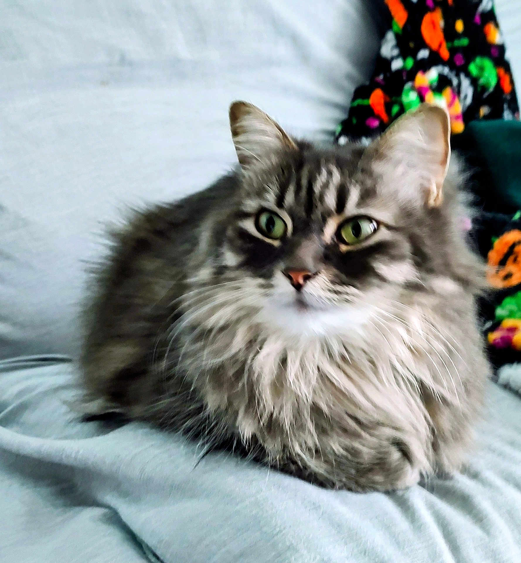 Athena