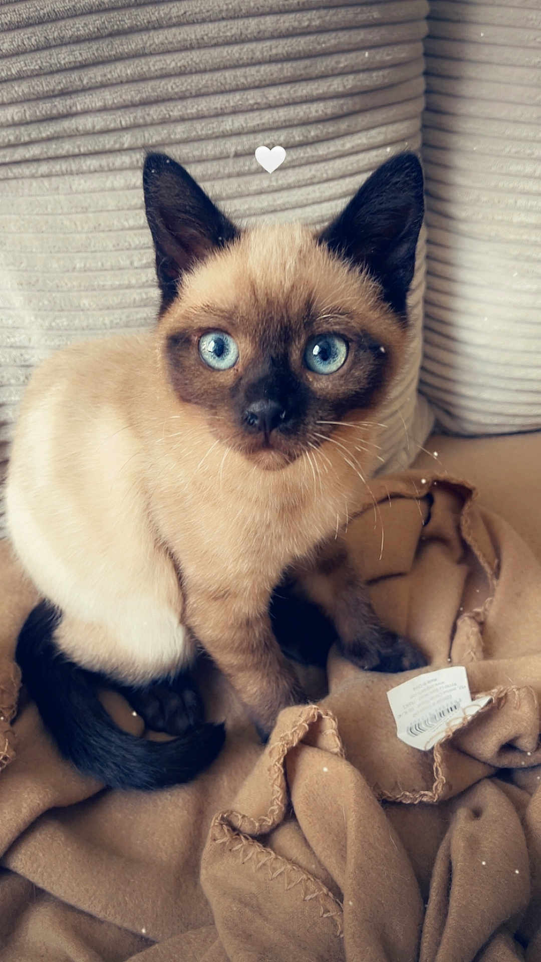 Félix