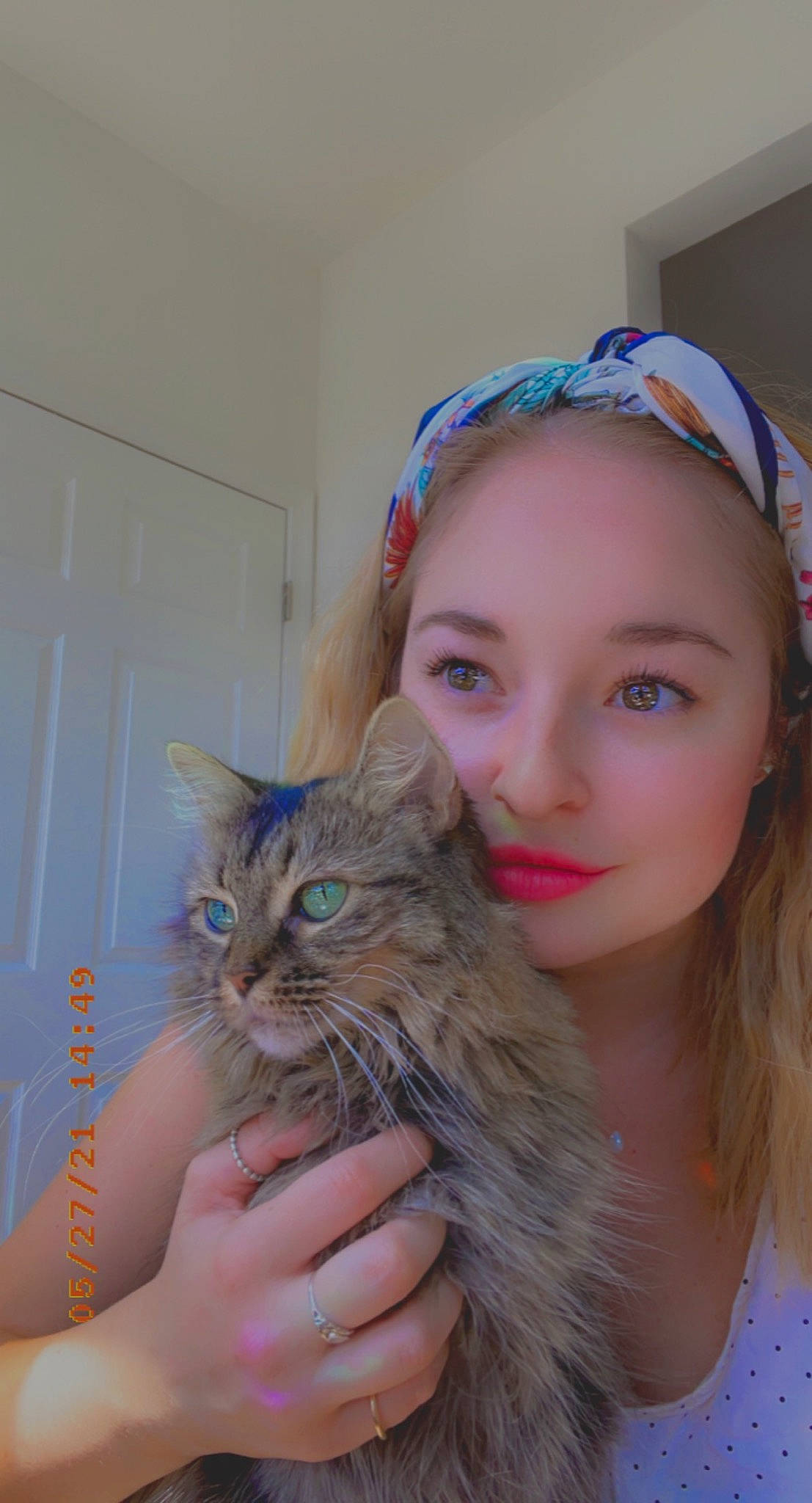 Rosie joined the competition — help win amazing prizes! blond, brown_hair, carnivore, cat, child, domestic_short_haired_cat, eyebrow, fawn, felidae, fur, gesture, happy, headband, headpiece, iris, long_hair, nail, skin, small_to_medium_sized_cats, whiskers