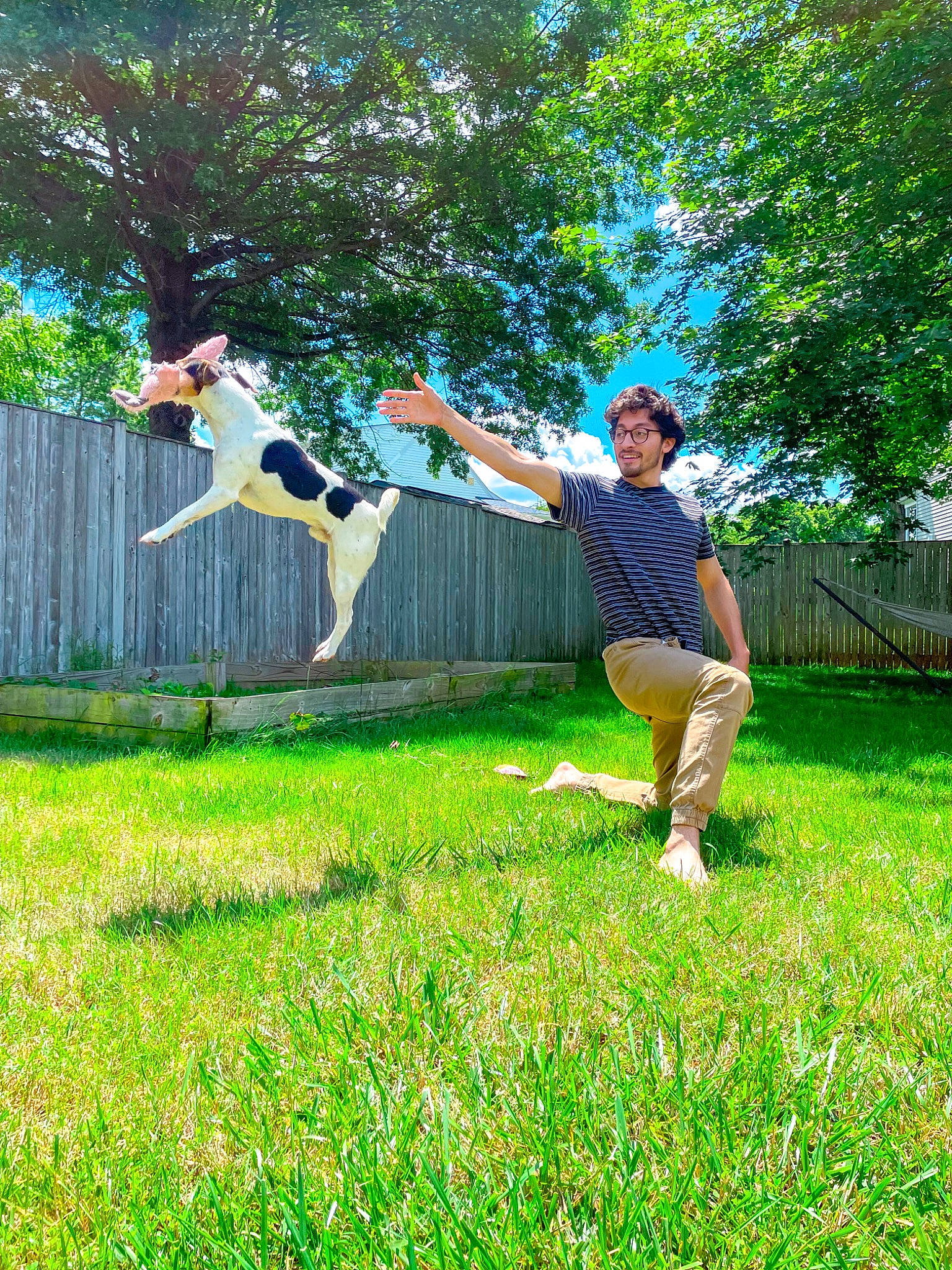 Sodapop is registered to the contest to win money with this photo: balance, companion_dog, fun, grass, grassland, green, happy, lawn, leaf, leisure, mammal, meadow, people_in_nature, plant, recreation, shorts, sky, tree, vertebrate, waist