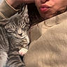 person, cat, tabby_cat, sleeping_cat, cozy, hoodie, beige_clothing, face, expression, snuggling, indoor, closeup, pet, animal, resting, cute, feline, paw, whiskers, casual