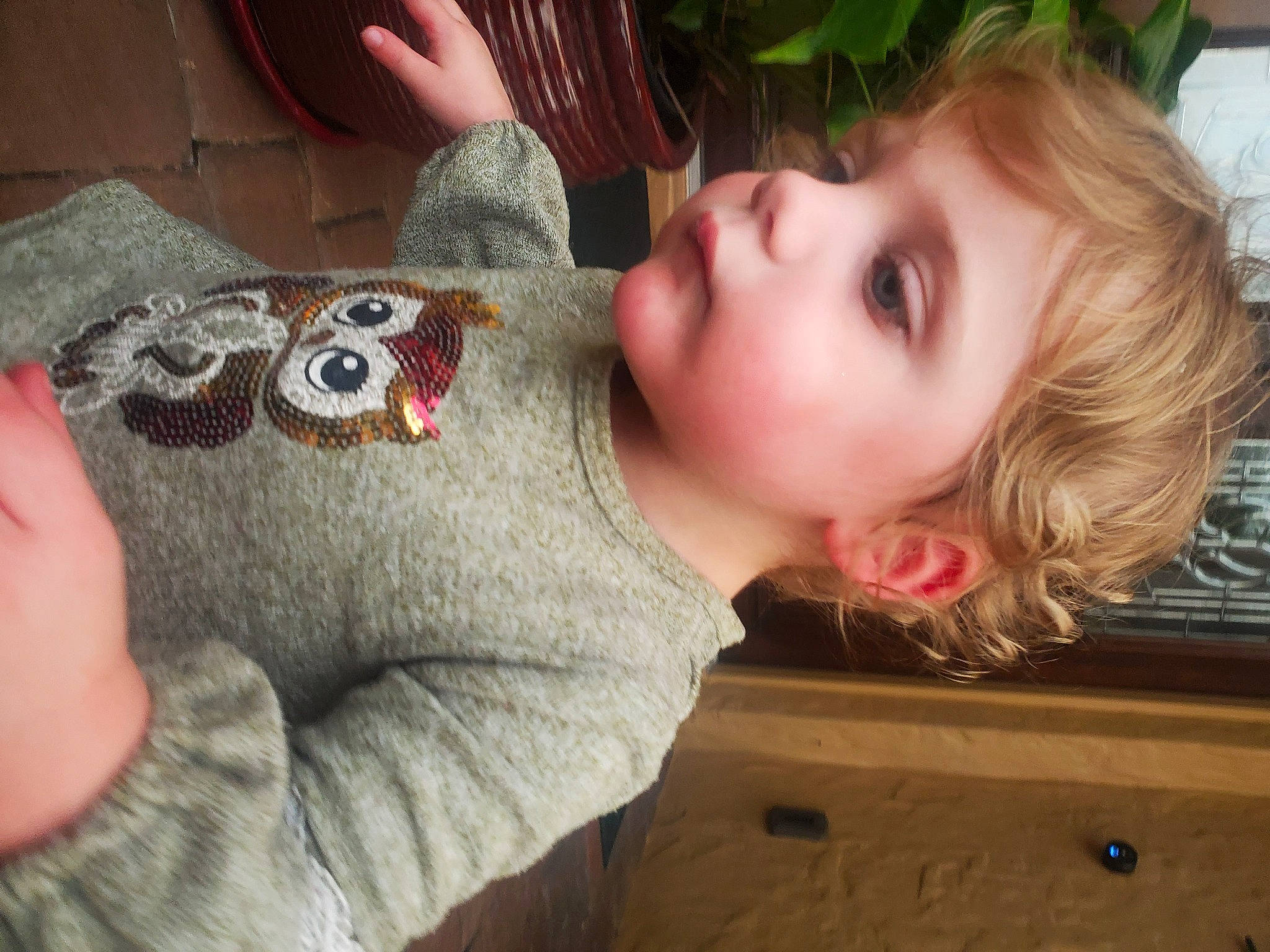 Lilianna joined the competition — help win amazing prizes! brown_hair, cheek, child, comfort_food, ear, eyelash, finger, fun, happy, iris, mouth, nail, neck, nose, person, plant, sitting, skin, toddler, toy