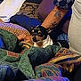 arm, bed, blanket, casual, colorful, comfort, cozy, cushion, dog, fabric, furniture, indoor, pattern, person, pillow, relaxation, resting, seated, small_dog, tattoo
