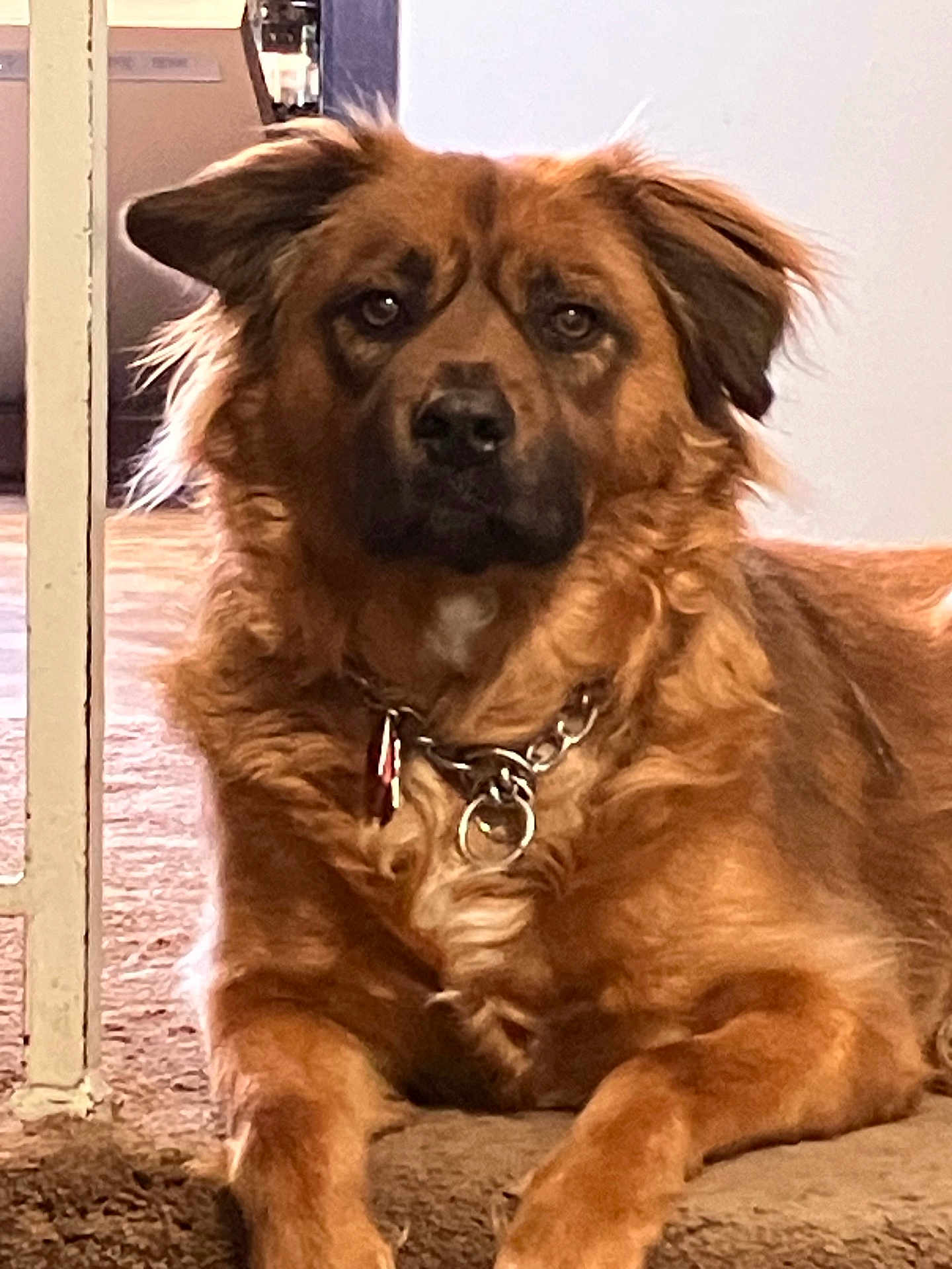 Ellie