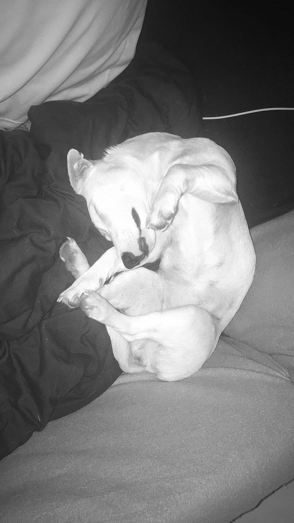 Amnésia participe au concours pour gagner de l'argent avec cette photo : black_and_white, white