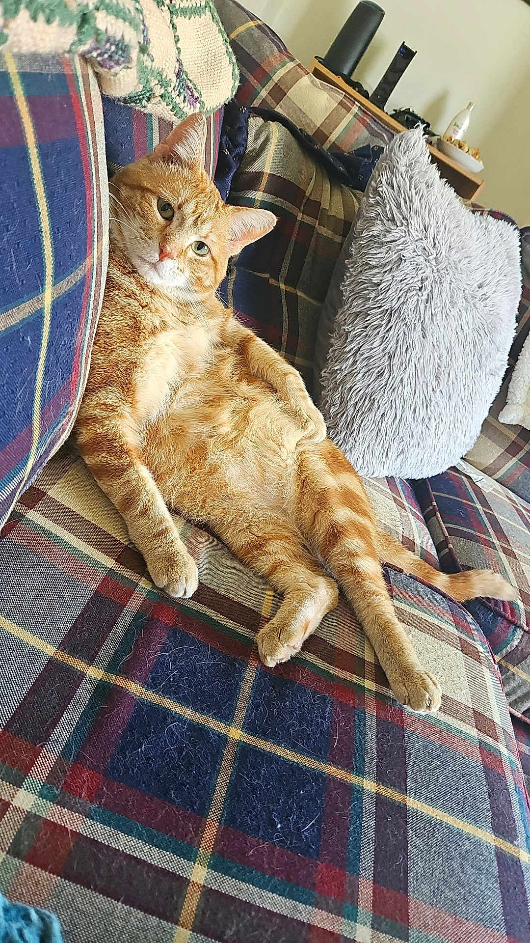 Kurt