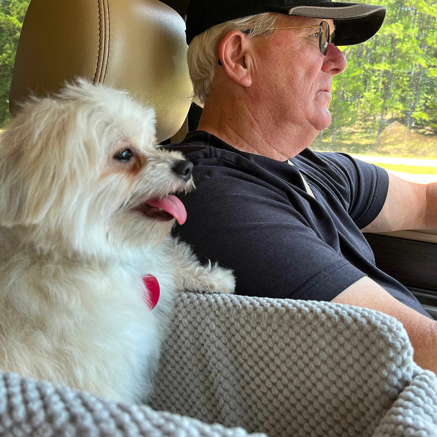 Sir Newt Hammons is registered to the contest to win money with this photo: accessories, animal, baseballcap, canine, cap, clothing, couch, cushion, dog, face, furniture, glasses, hat, head, homedecor, person, pet, photography, portrait, puppy