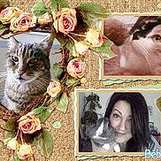 LilouCat participe au concours pour gagner de l'argent avec cette photo :