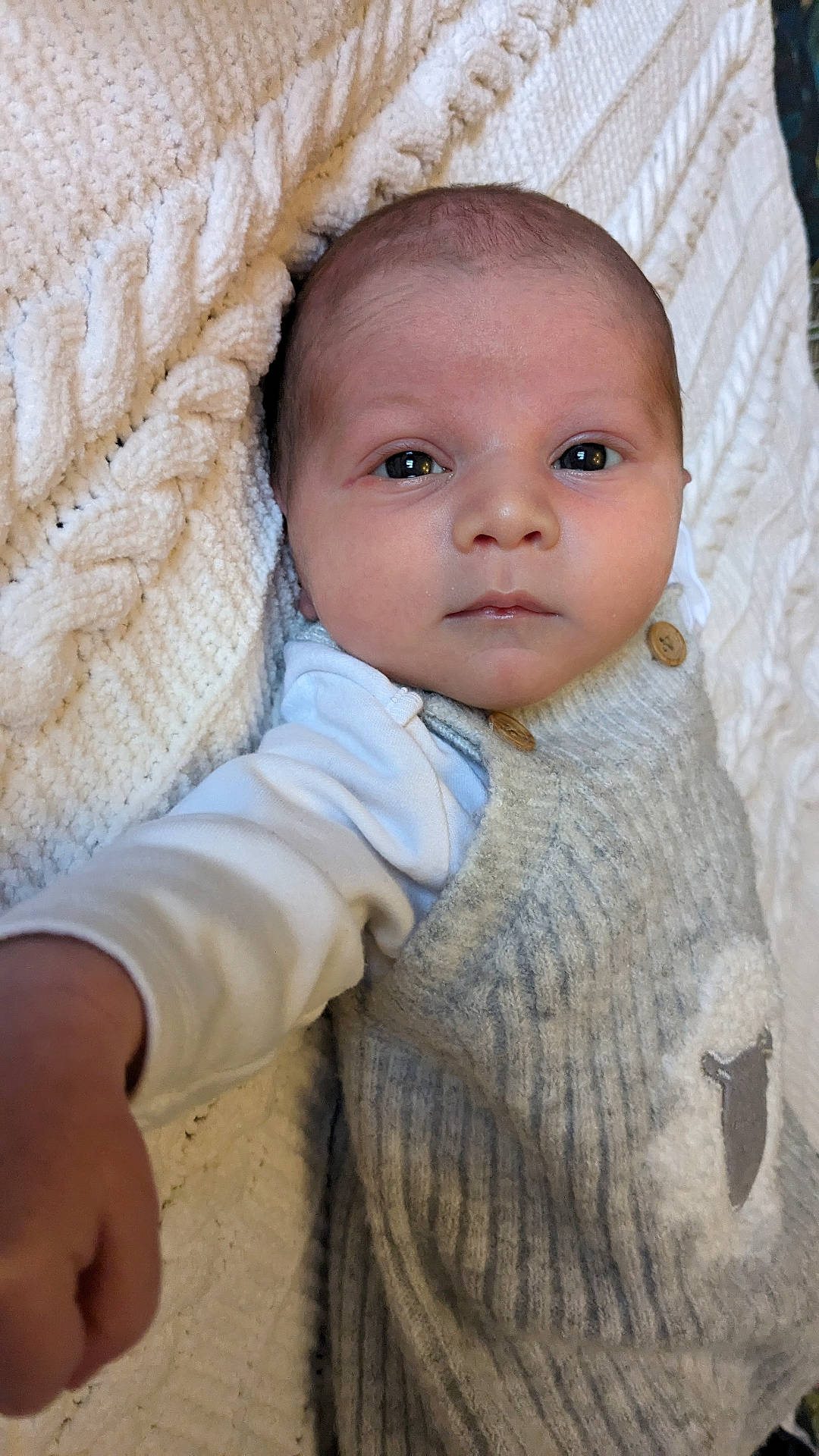 Bertie is registered to the contest to win money with this photo: baby, blanket, bodypart, bonnet, cap, clothing, face, finger, furniture, hand, hat, head, hoodie, knitwear, newborn, person, photography, portrait, sweater, sweatshirt