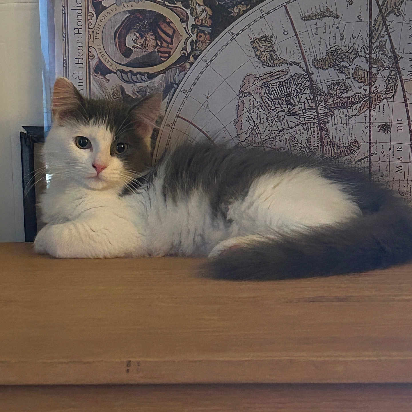 Milo