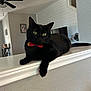 animal, black_cat, bow_tie, cat, ceiling_fan, decor, domestic_animal, feline, furniture, home_interior, indoor, ledges, mammal, pet, picture_frame, portrait, relaxed, television, wall, yellow_eyes